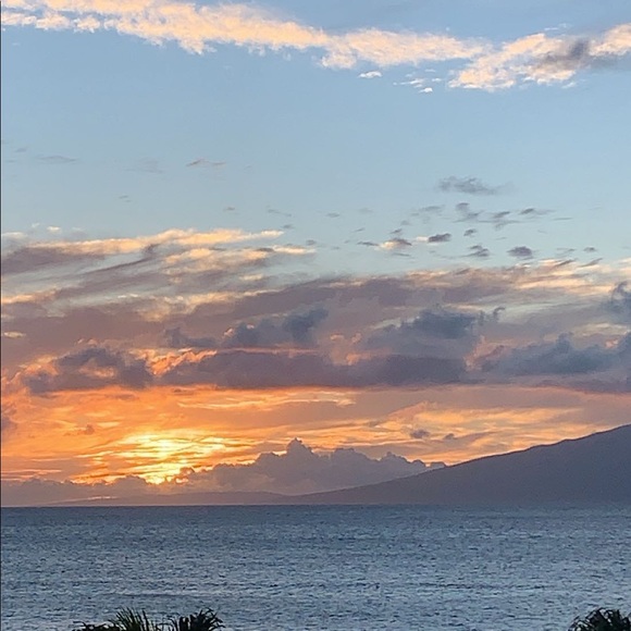 Meet your Posher, Saylor - Picture 1 of 1